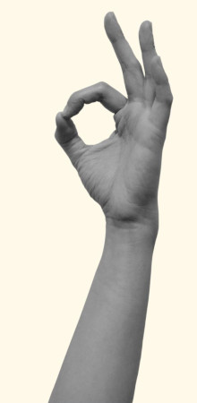 Yoga Mudra